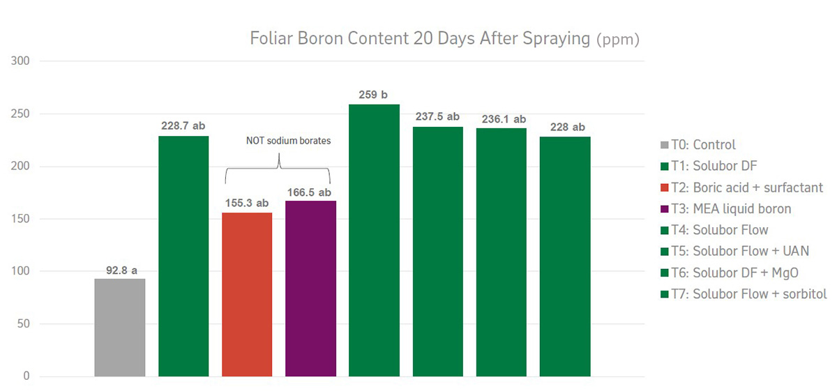 Foliar Boron Content 20 Days After Spraying