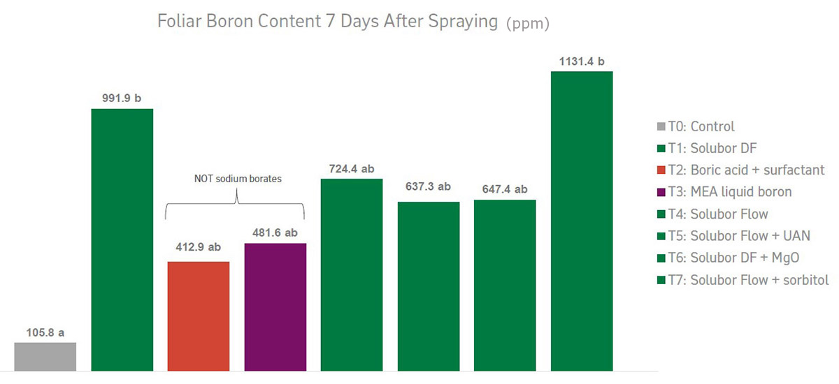 Foliar Boron Content 7 Days After Spraying