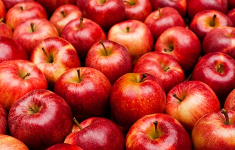 Aplicações de boro para um aumento na produção de maçãs