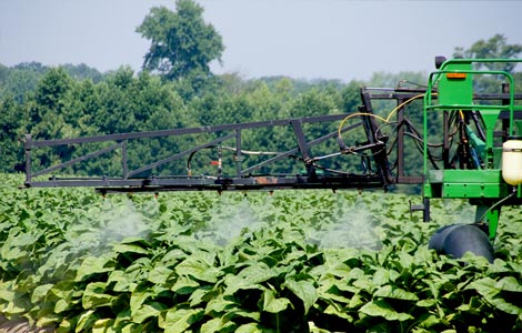 Quanto do aumento do pH afetará a eficácia dos pesticidas?