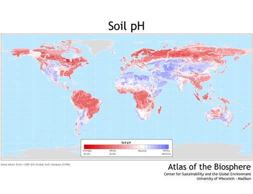 Map of global soil pH
