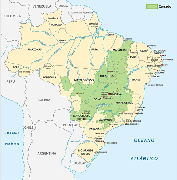 Brazilian soil analysis map